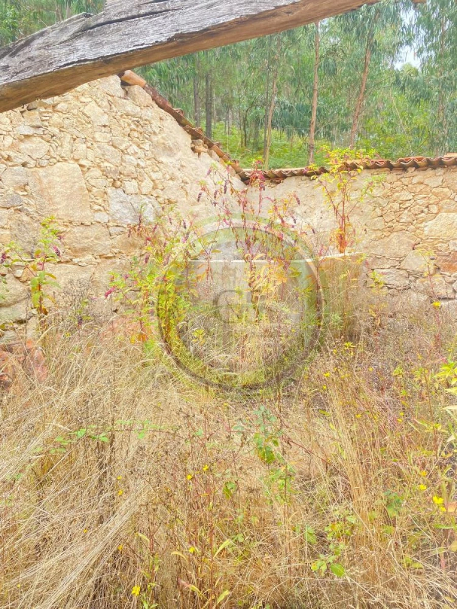 Moradia T3 para Venda em Durrães e Tregosa Foto 6