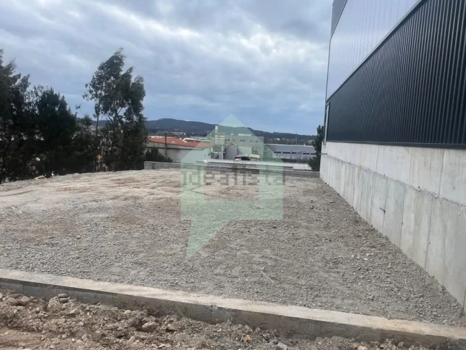 Armazém para Venda em Ribeirão Foto 16