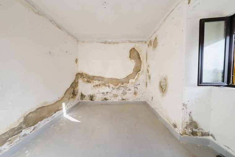 Quinta para Venda em Carvalhal Foto 7