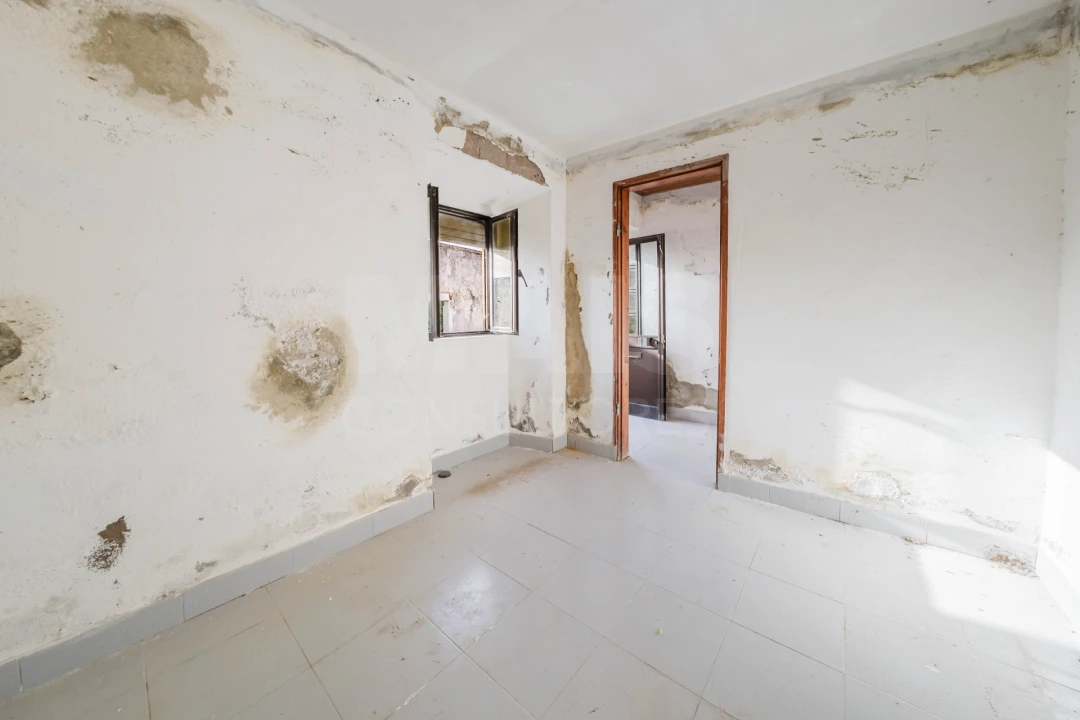 Quinta para Venda em Carvalhal Foto 6