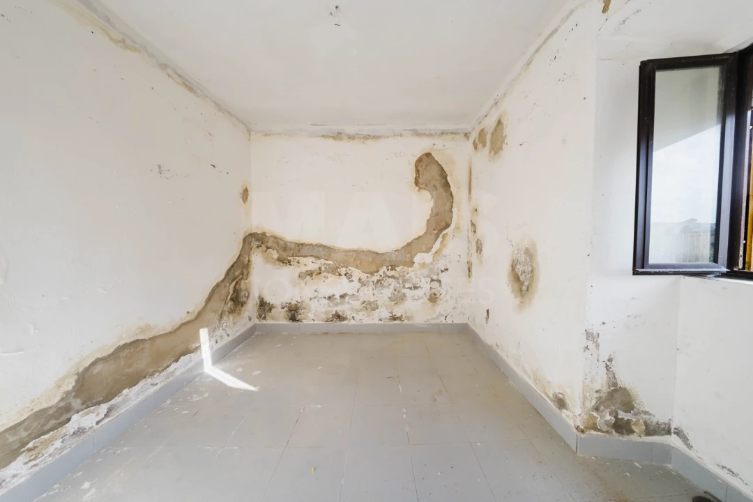 Quinta para Venda em Carvalhal Foto 7