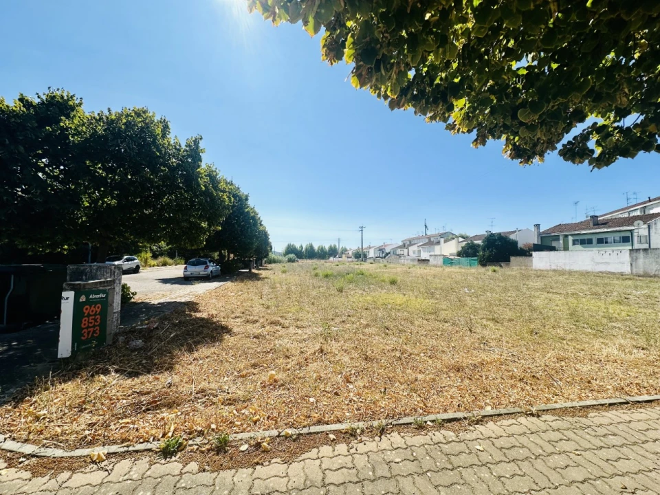 Terreno para Venda em São Miguel do Rio Torto e Rossio Ao Sul do Tejo Foto 2