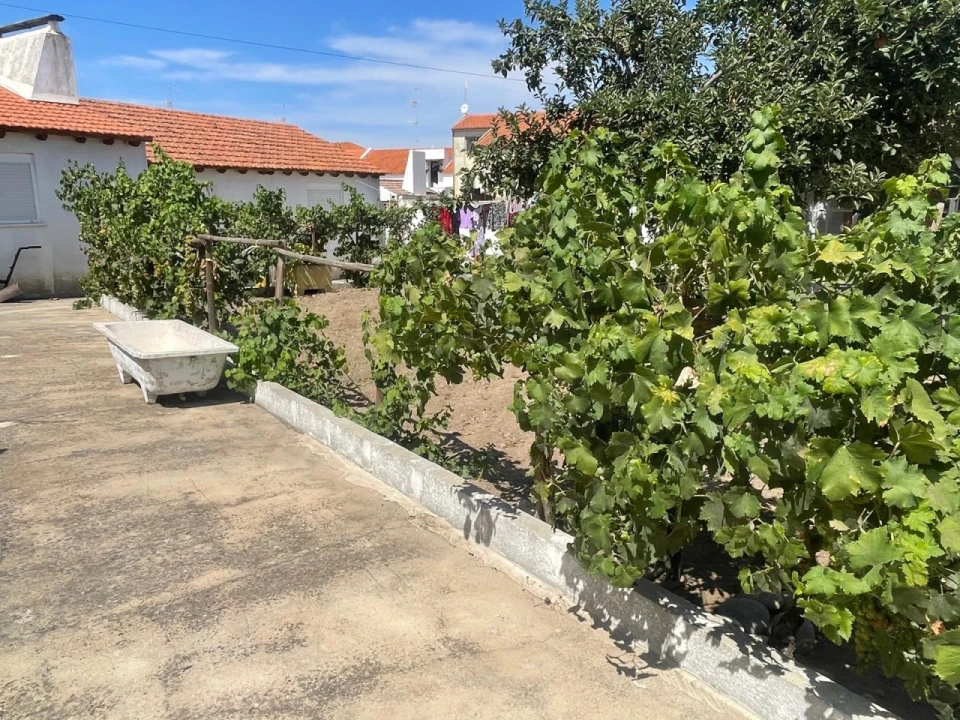 Moradia T4 para Venda em Abela Foto 45