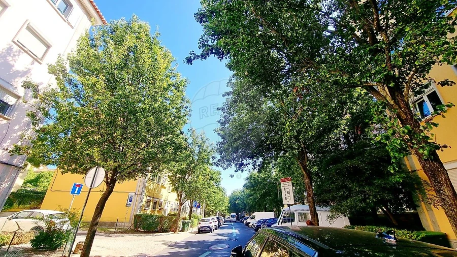 Apartamento T2 para Arrendamento em Alvalade Foto 23