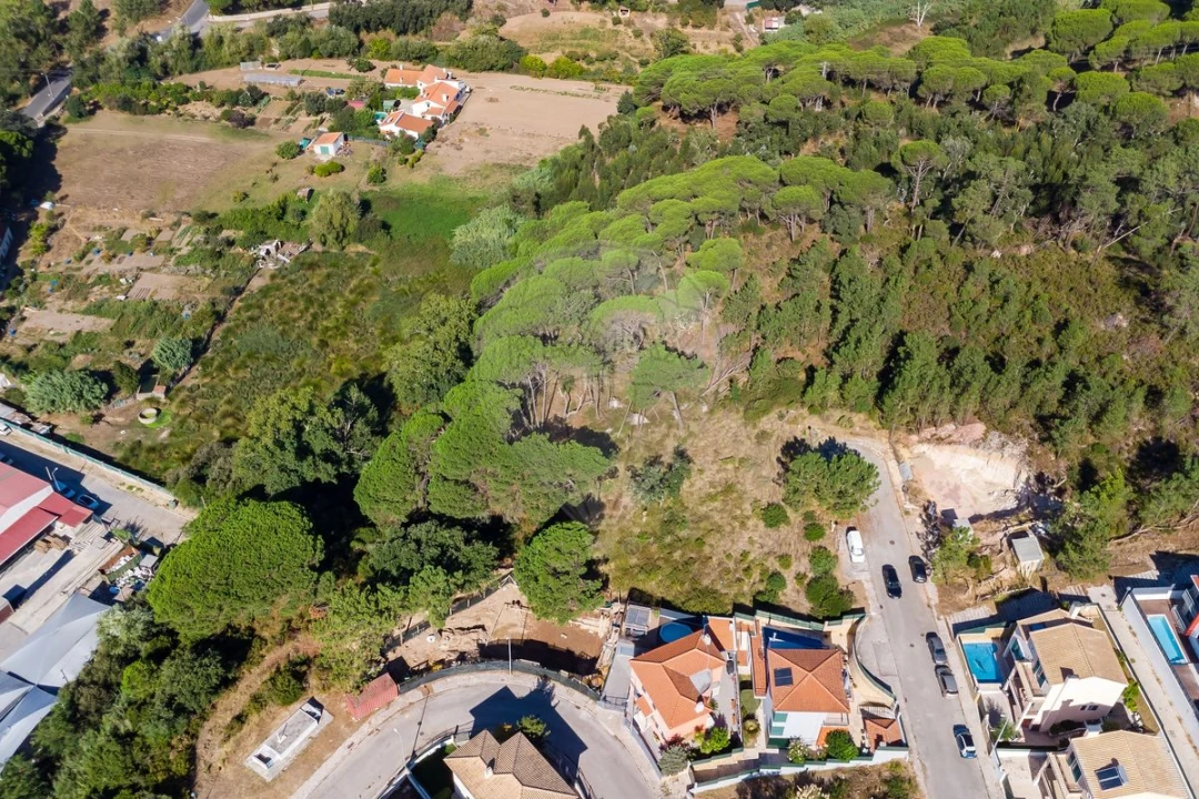Terreno para Venda em Sesimbra (Castelo) Foto 3