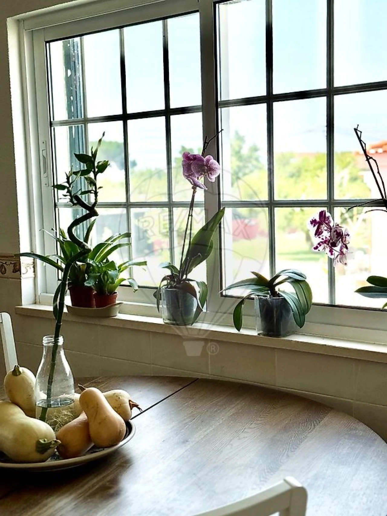 Quinta T0 para Venda em Palmela Foto 14