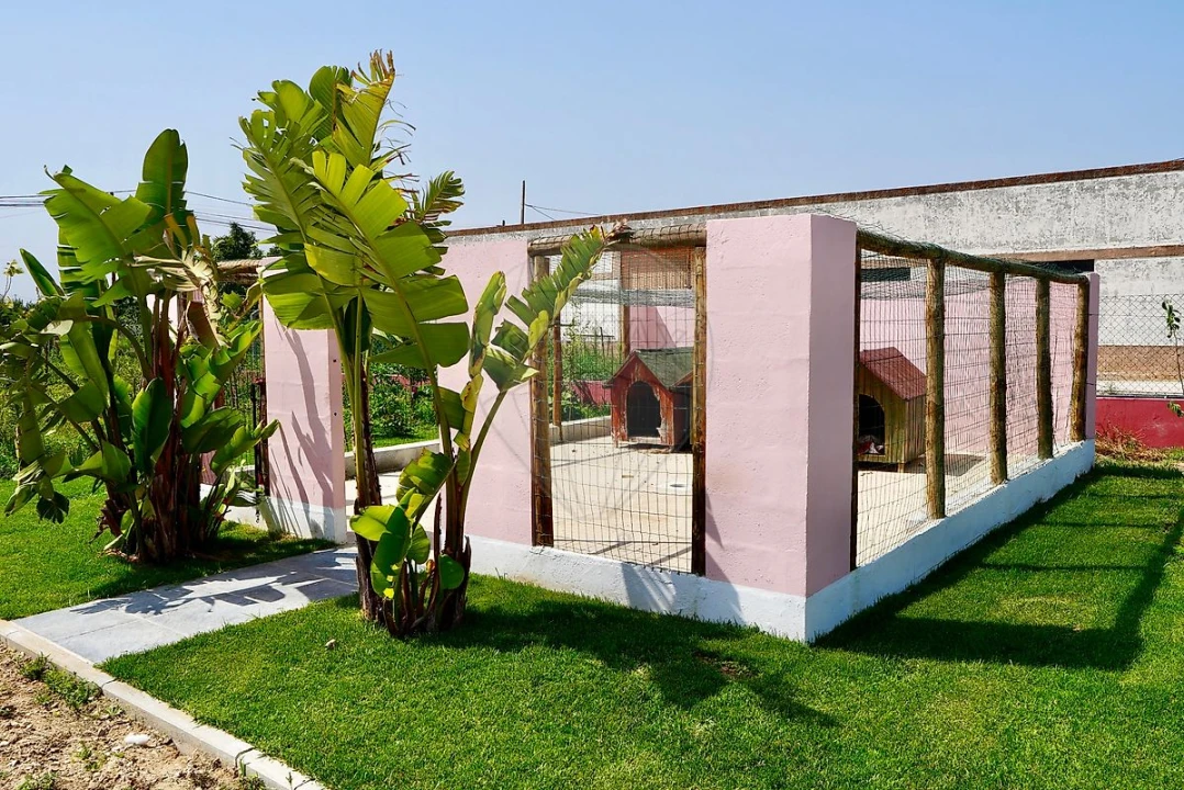 Quinta T0 para Venda em Palmela Foto 39