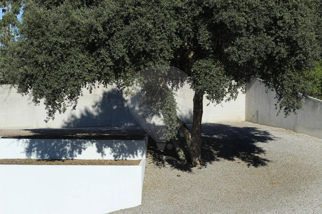 Moradia T4 para Venda em Aguiar de Sousa Foto 45