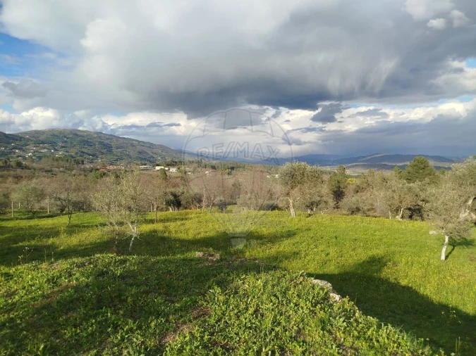 Moradia T4 para Venda em Teixoso e Sarzedo Foto 11