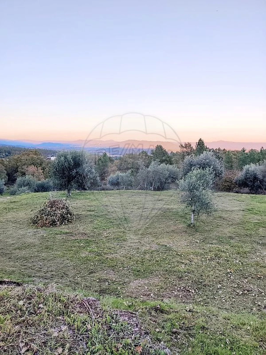 Moradia T3 para Venda em Teixoso e Sarzedo Foto 22