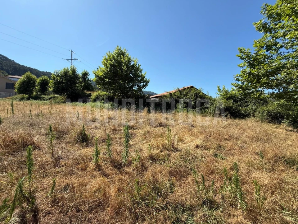 Terreno para Venda em Rio Caldo Foto 10