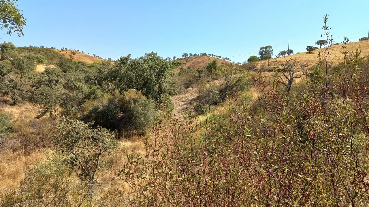 Quinta T3 para Venda em Ourique Foto 3