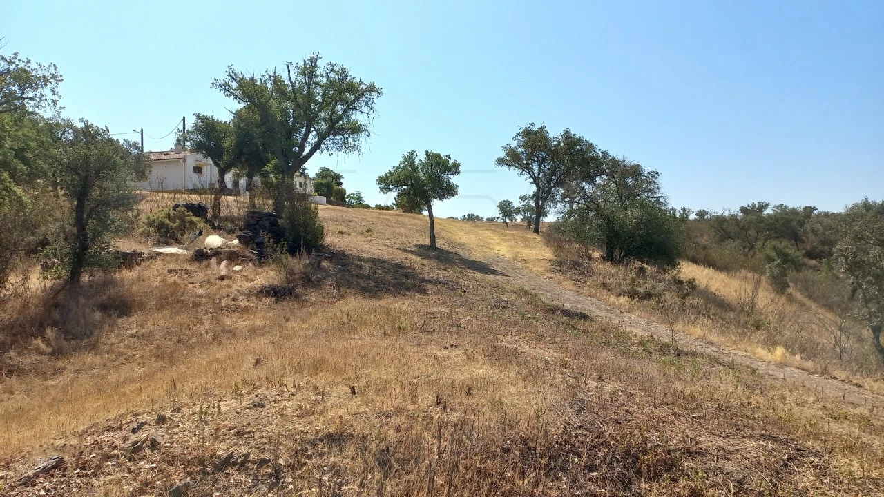 Quinta T3 para Venda em Ourique Foto 5