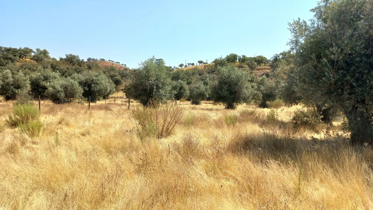 Quinta T3 para Venda em Ourique Foto 9