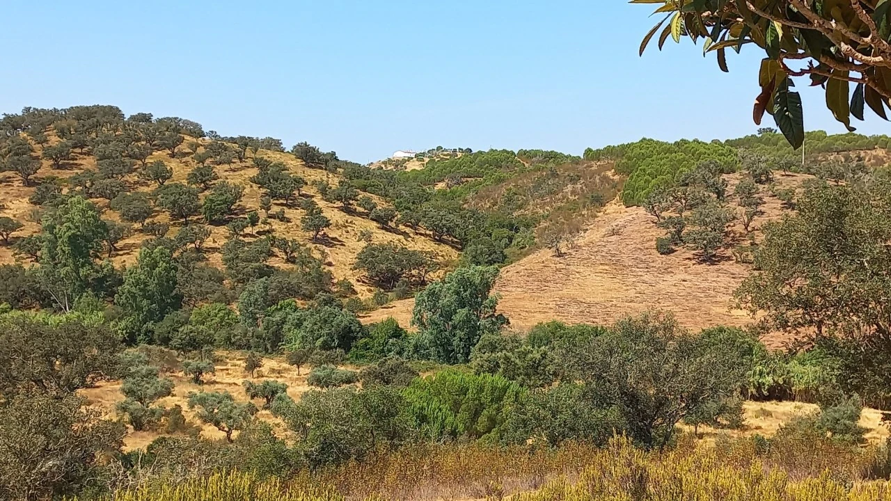 Quinta T3 para Venda em Ourique Foto 20