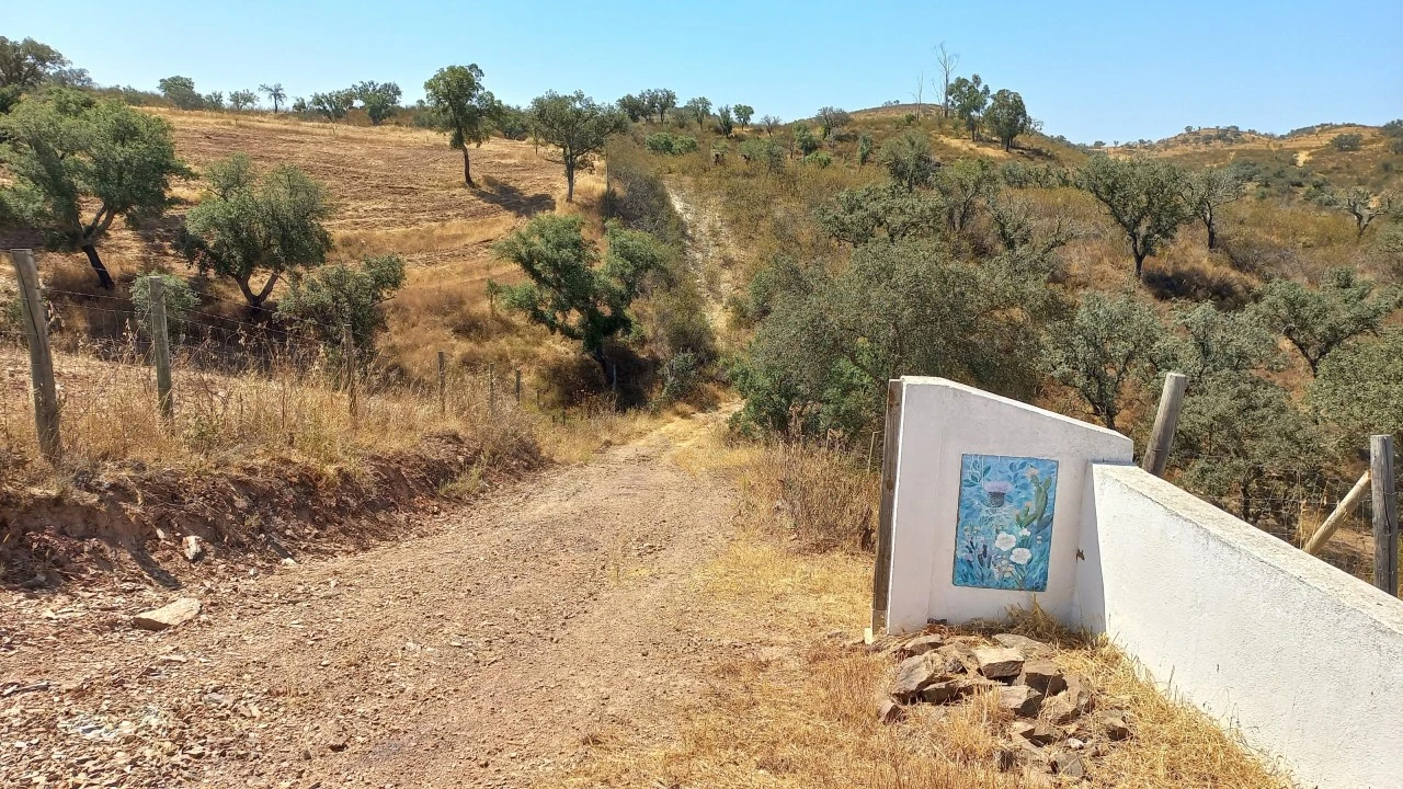 Quinta T3 para Venda em Ourique Foto 23