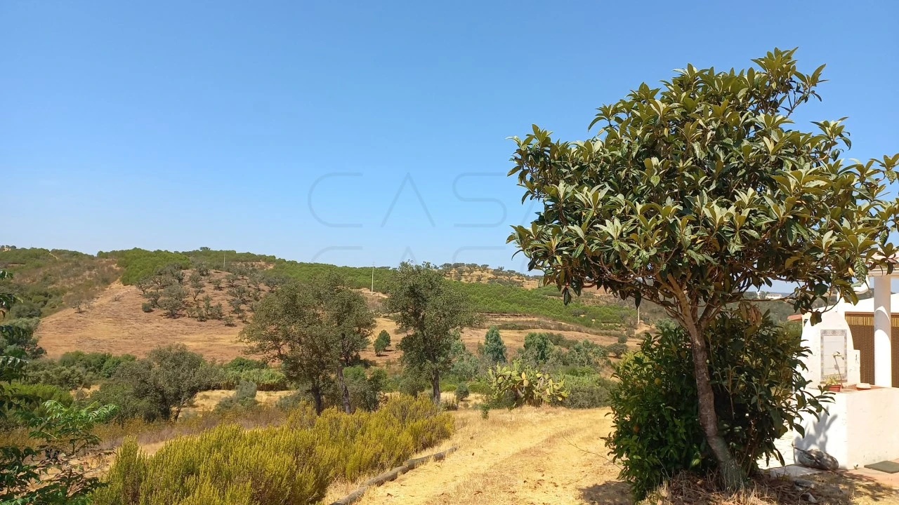 Quinta T3 para Venda em Ourique Foto 27