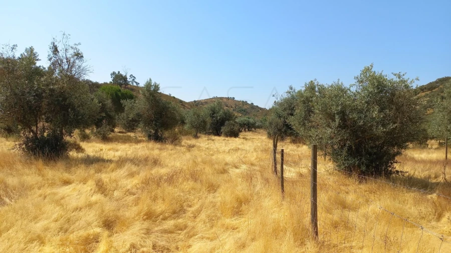 Quinta T3 para Venda em Ourique Foto 8