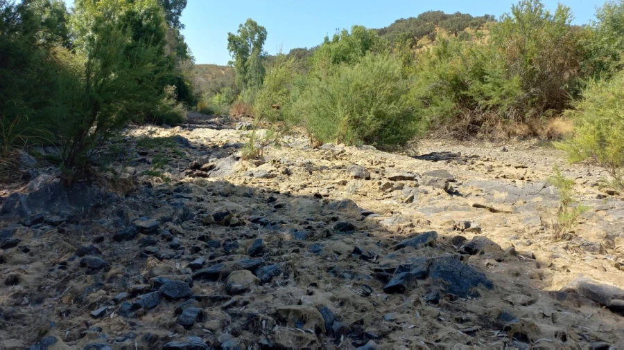 Quinta T3 para Venda em Ourique Foto 10