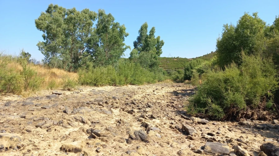 Quinta T3 para Venda em Ourique Foto 11