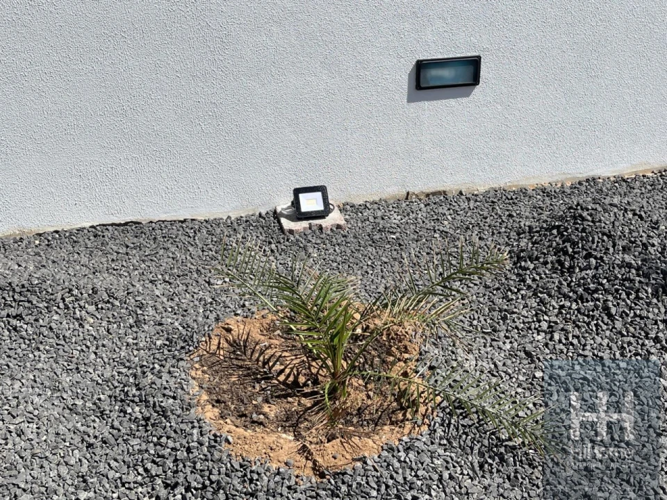 Moradia T2 para Venda em Porto Santo Foto 26