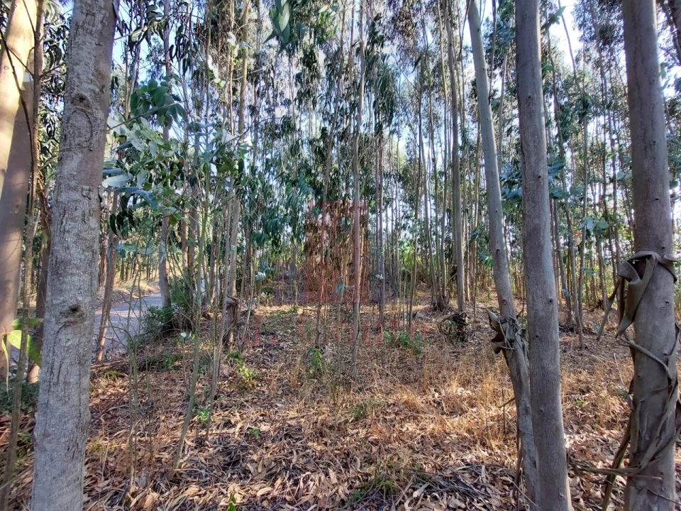 Terreno para Venda em A dos Francos Foto 12