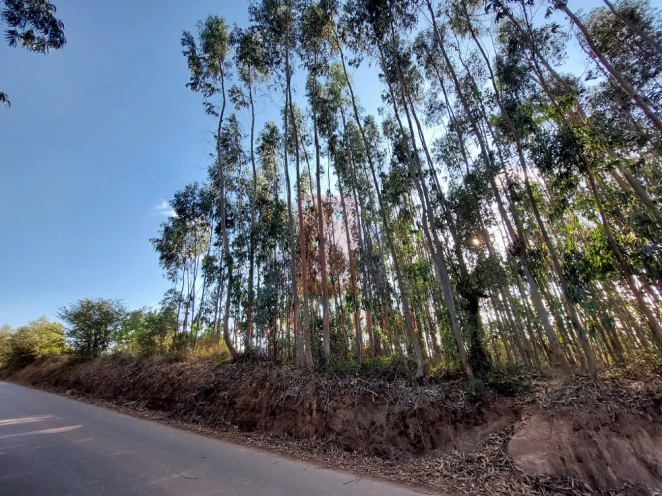 Terreno para Venda em A dos Francos Foto 13
