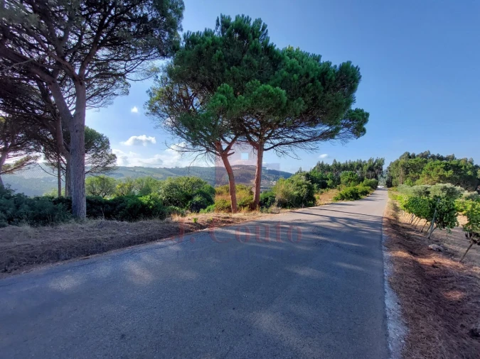 Terreno para Venda em A dos Francos