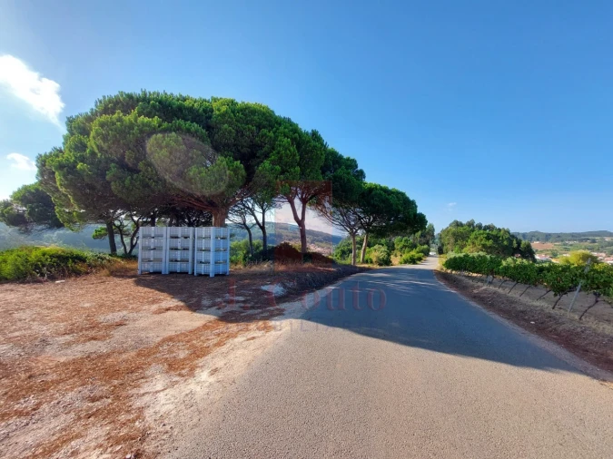 Terreno para Venda em A dos Francos Foto 3