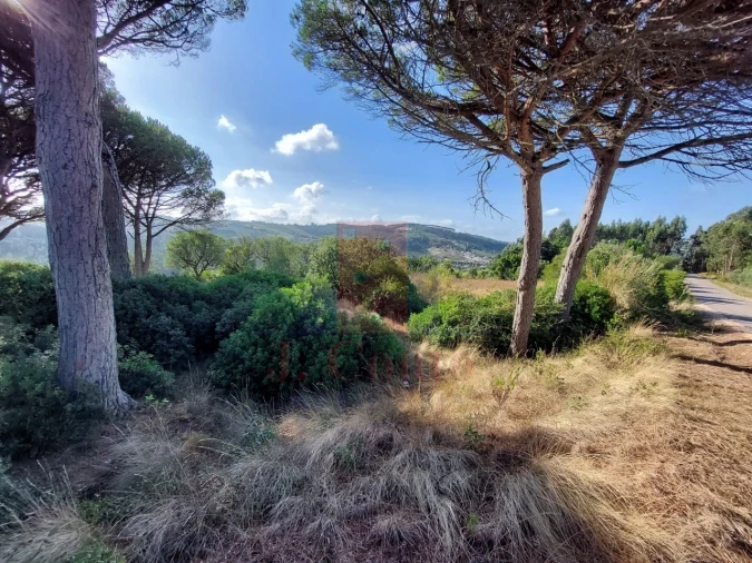 Terreno para Venda em A dos Francos Foto 7
