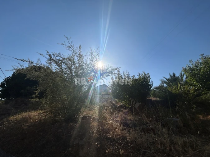 Terreno para Venda em Martinchel
