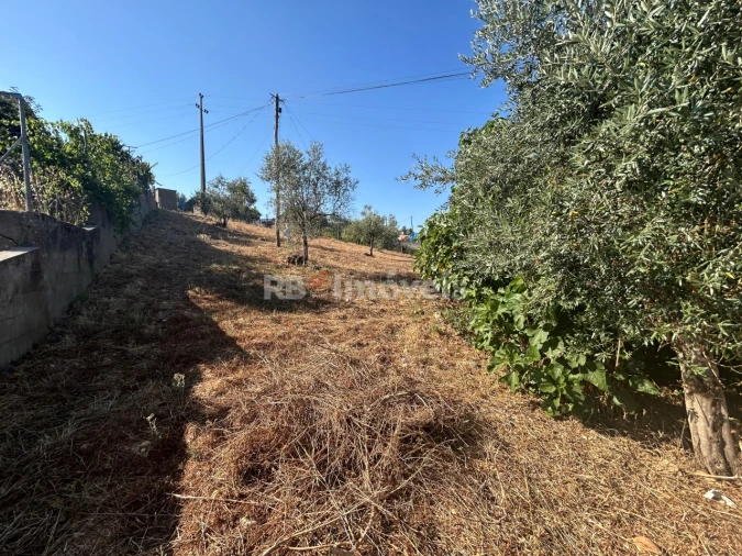 Terreno para Venda em Martinchel Foto 5