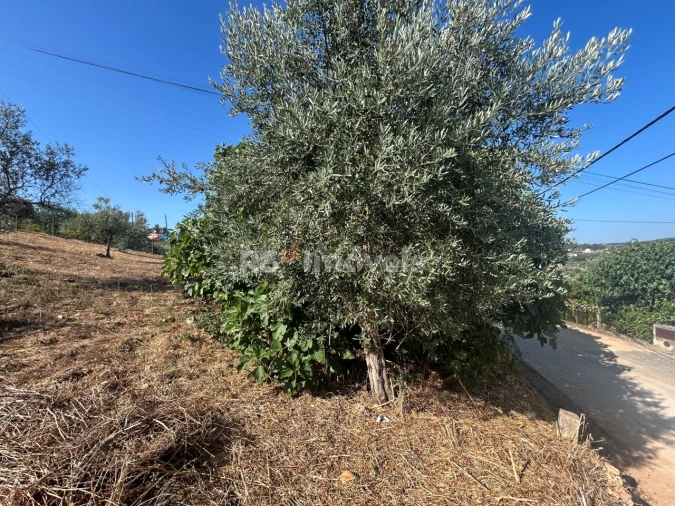 Terreno para Venda em Martinchel Foto 8