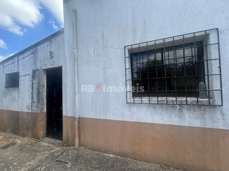 Negócio para Venda em Paialvo Foto 7