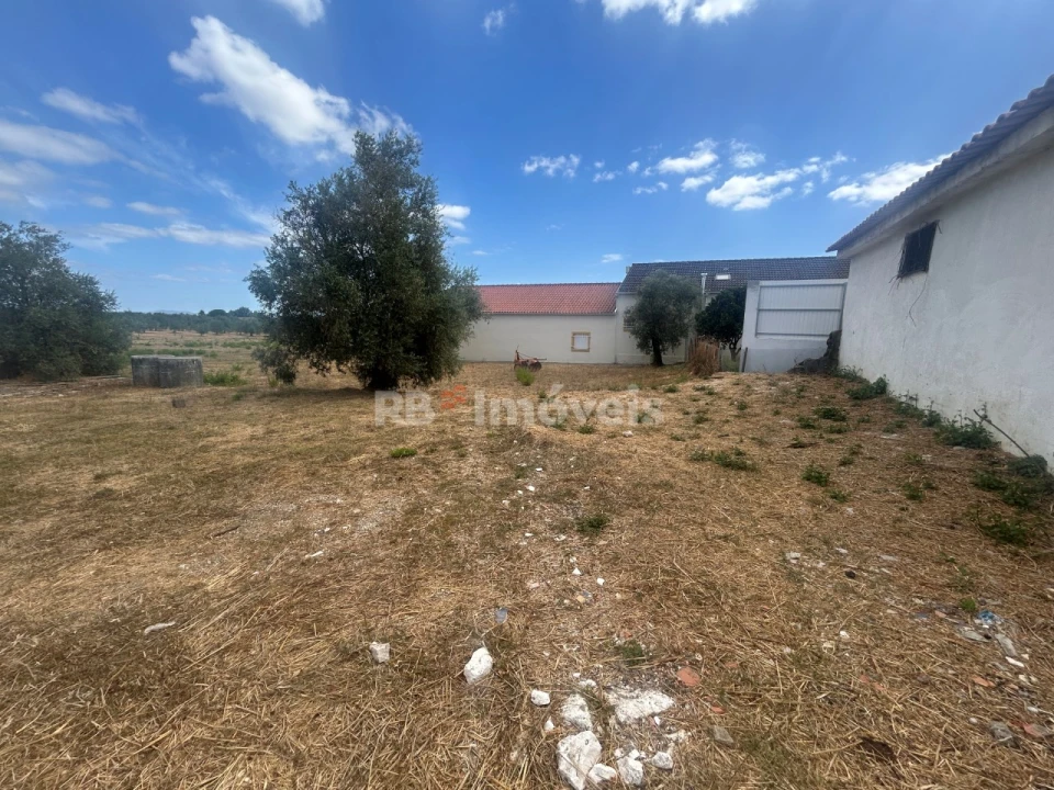 Negócio para Venda em Paialvo Foto 12