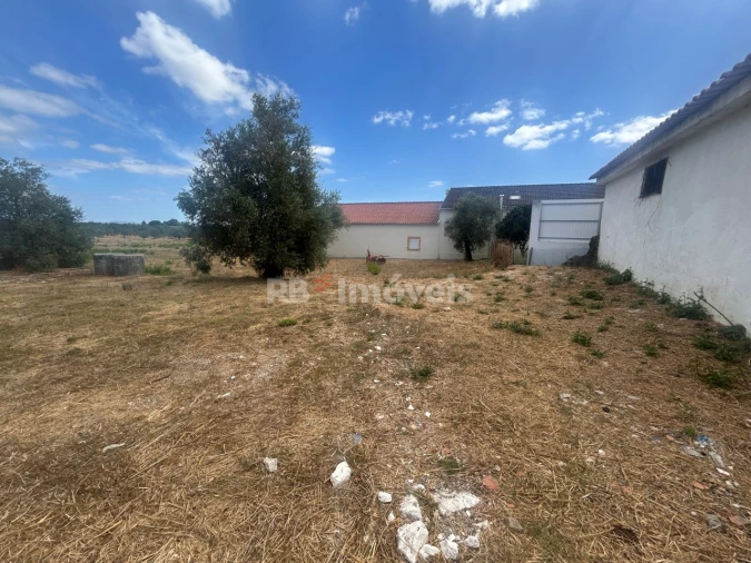 Negócio para Venda em Paialvo Foto 12