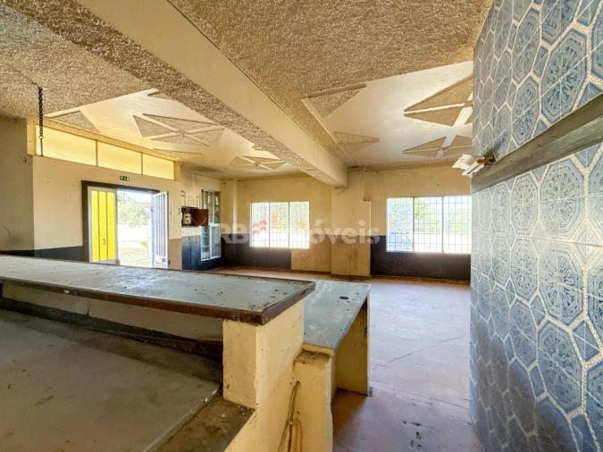 Negócio para Venda em Paialvo Foto 17