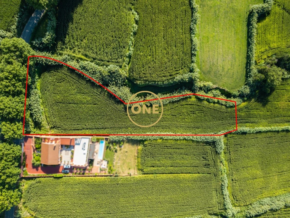 Terreno para Venda em Mosteiros Foto 5