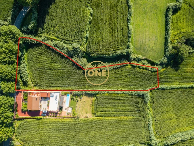 Terreno para Venda em Mosteiros Foto 5