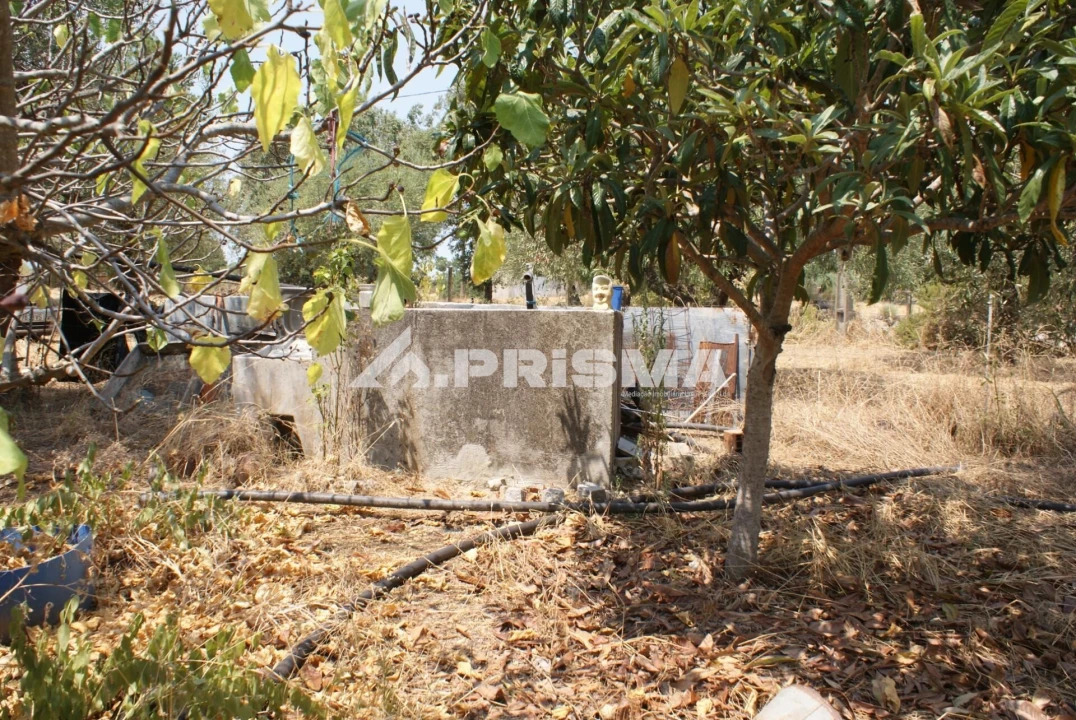 Terreno para Venda em Orca Foto 2