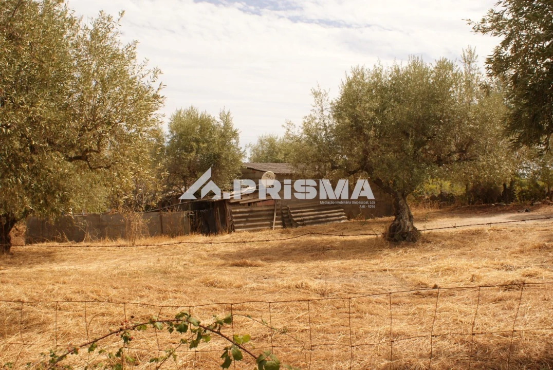 Terreno para Venda em Orca Foto 29