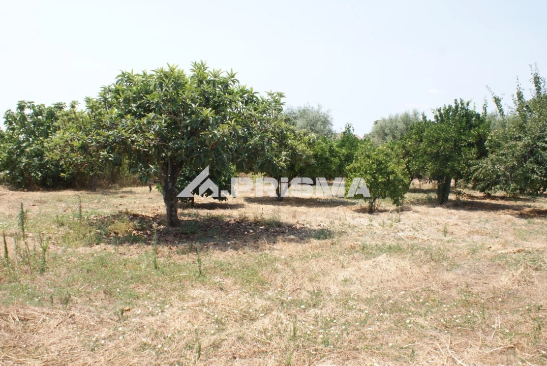 Terreno para Venda em Orca Foto 7