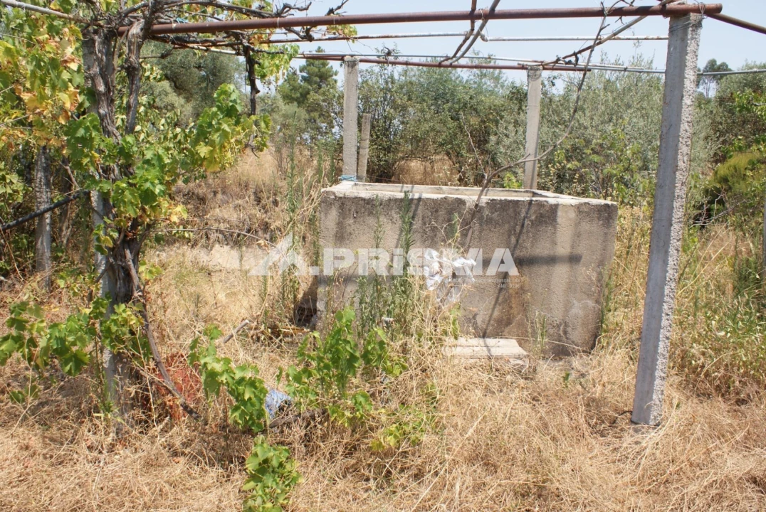Terreno para Venda em Orca Foto 5