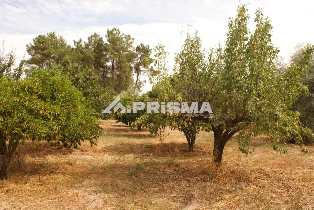 Terreno para Venda em Orca Foto 17