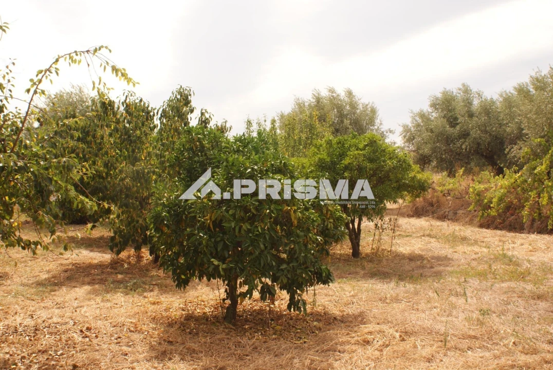 Terreno para Venda em Orca Foto 19