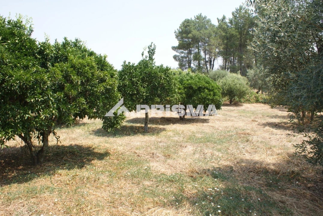Terreno para Venda em Orca Foto 26