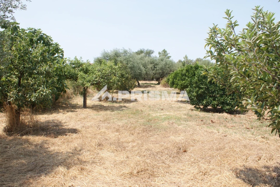 Terreno para Venda em Orca Foto 8