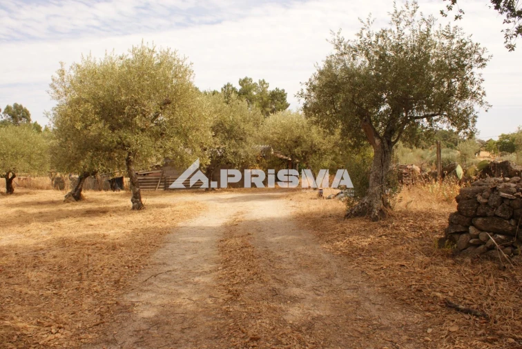 Terreno para Venda em Orca Foto 30