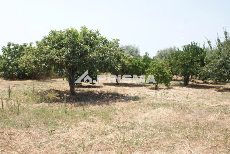Terreno para Venda em Orca Foto 7