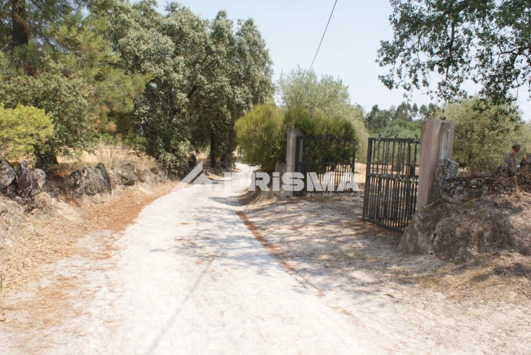 Terreno para Venda em Orca Foto 27
